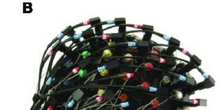 Ciencia, libertad y ética