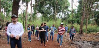 Los incendios forestales y la deforestación en Paraguay fueron los temas principales de taller de periodismo ambiental en Itapúa