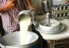 Hallazgo cambia la historia del consumo humano de la leche historia del consumo humano de la leche