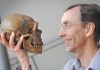 El Nobel de Medicina 2022 nos invita a repensar la evolución humana