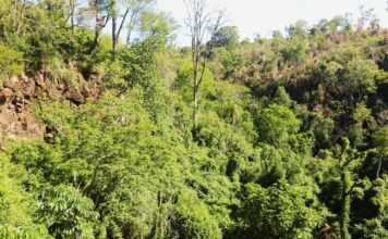 Áreas protegidas, más que biodiversidad: patrimonio vivo de pueblos y saberes áreas protegidas de paraguay son más que biodiversidad