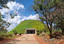 Sudáfrica bajo tierra: fósiles, evidencias y secretos de la evolución humana Sudáfrica y la evolución