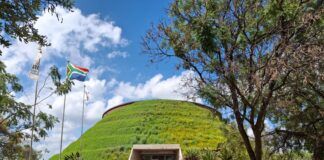 Sudáfrica bajo tierra: fósiles, evidencias y secretos de la evolución humana Sudáfrica y la evolución